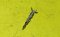 Rotary Lift Parts - R-P-AP00313